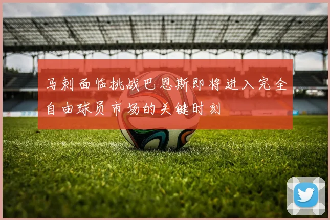 马刺面临挑战巴恩斯即将进入完全自由球员市场的关键时刻